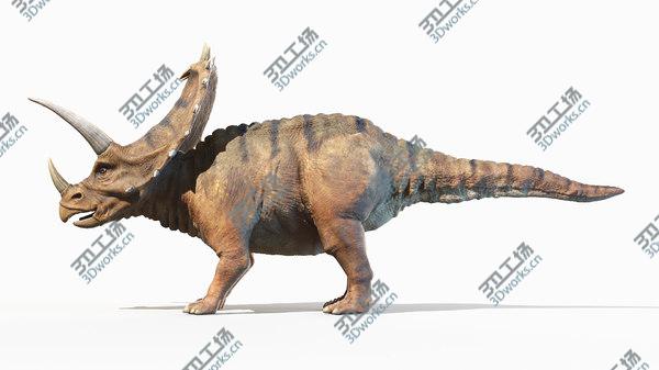images/goods_img/20210312/Pentaceratops model/2.jpg